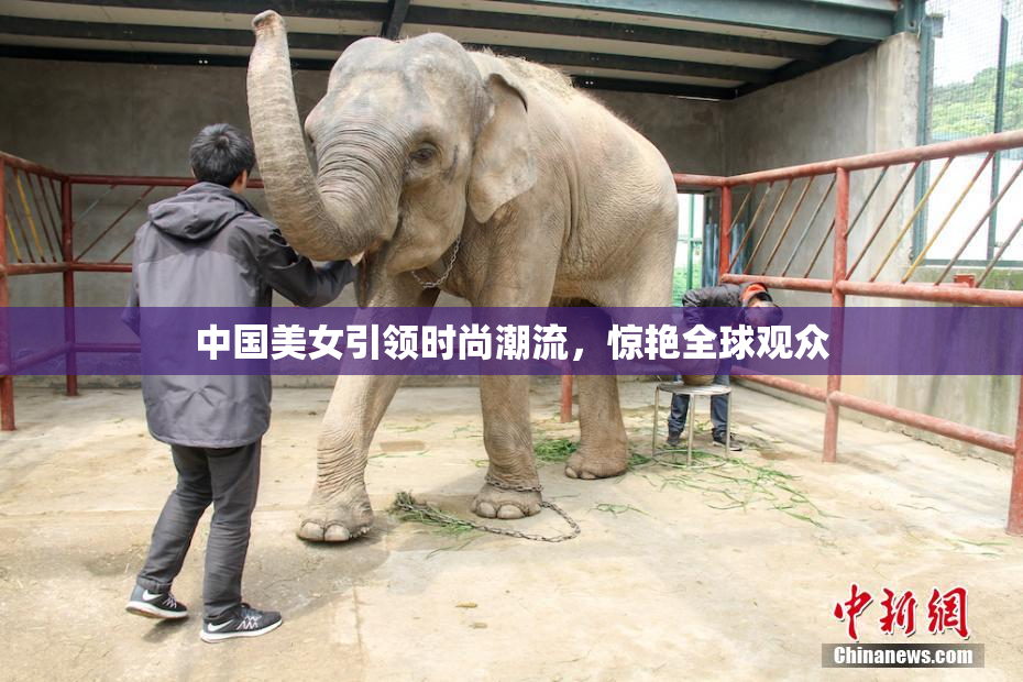 中国美女引领时尚潮流，惊艳全球观众