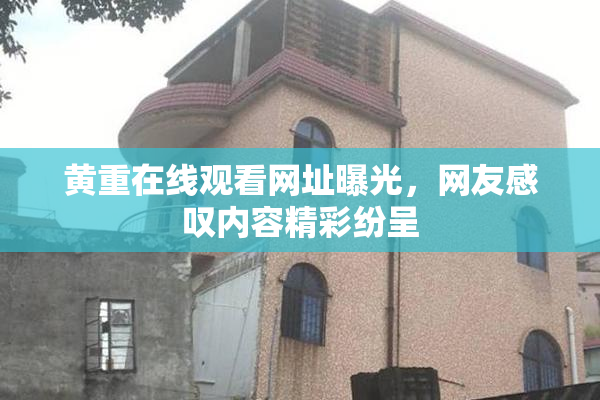 黄重在线观看网址曝光，网友感叹内容精彩纷呈