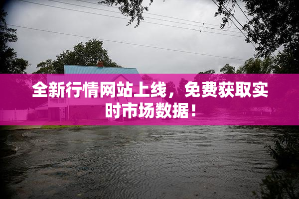 全新行情网站上线，免费获取实时市场数据！