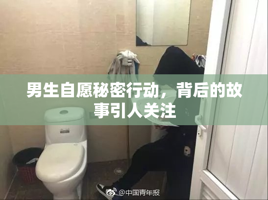 男生自愿秘密行动，背后的故事引人关注