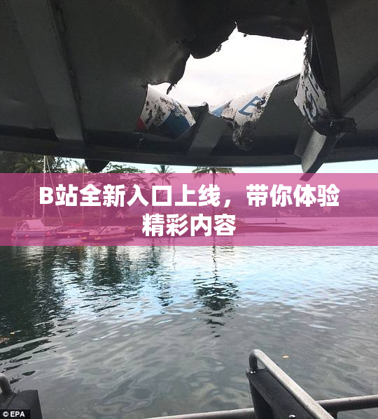 B站全新入口上线，带你体验精彩内容