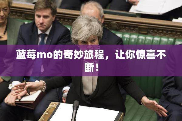 蓝莓mo的奇妙旅程，让你惊喜不断！