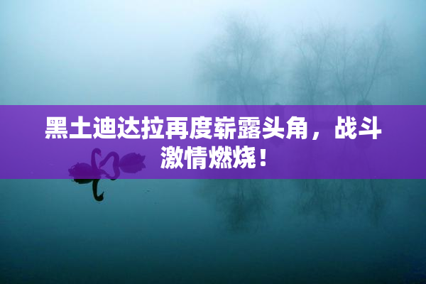 黑土迪达拉再度崭露头角，战斗激情燃烧！