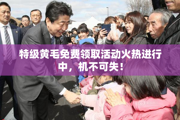 特级黄毛免费领取活动火热进行中，机不可失！