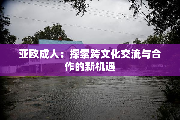 亚欧成人：探索跨文化交流与合作的新机遇
