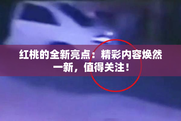 红桃的全新亮点：精彩内容焕然一新，值得关注！