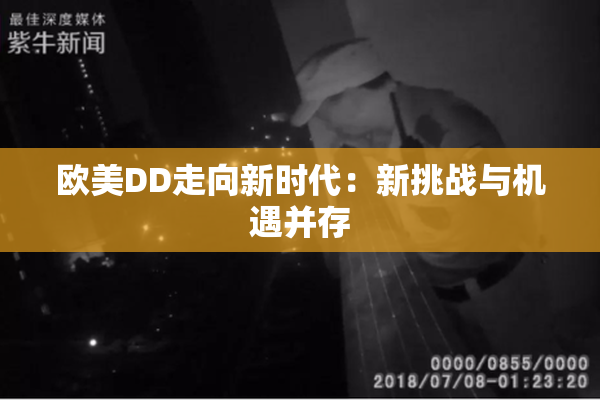 欧美DD走向新时代：新挑战与机遇并存
