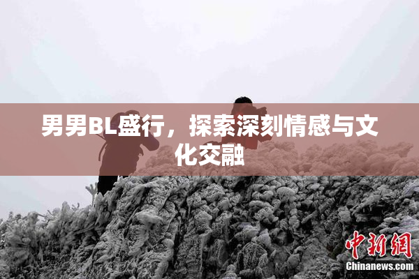 男男BL盛行，探索深刻情感与文化交融