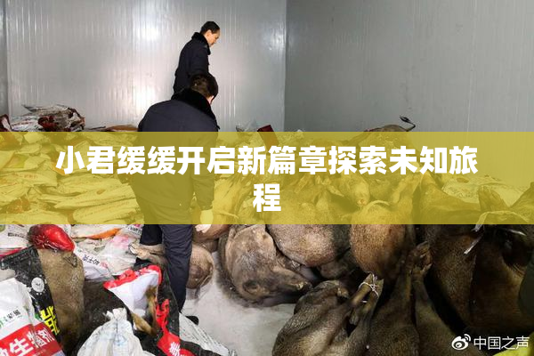 小君缓缓开启新篇章探索未知旅程