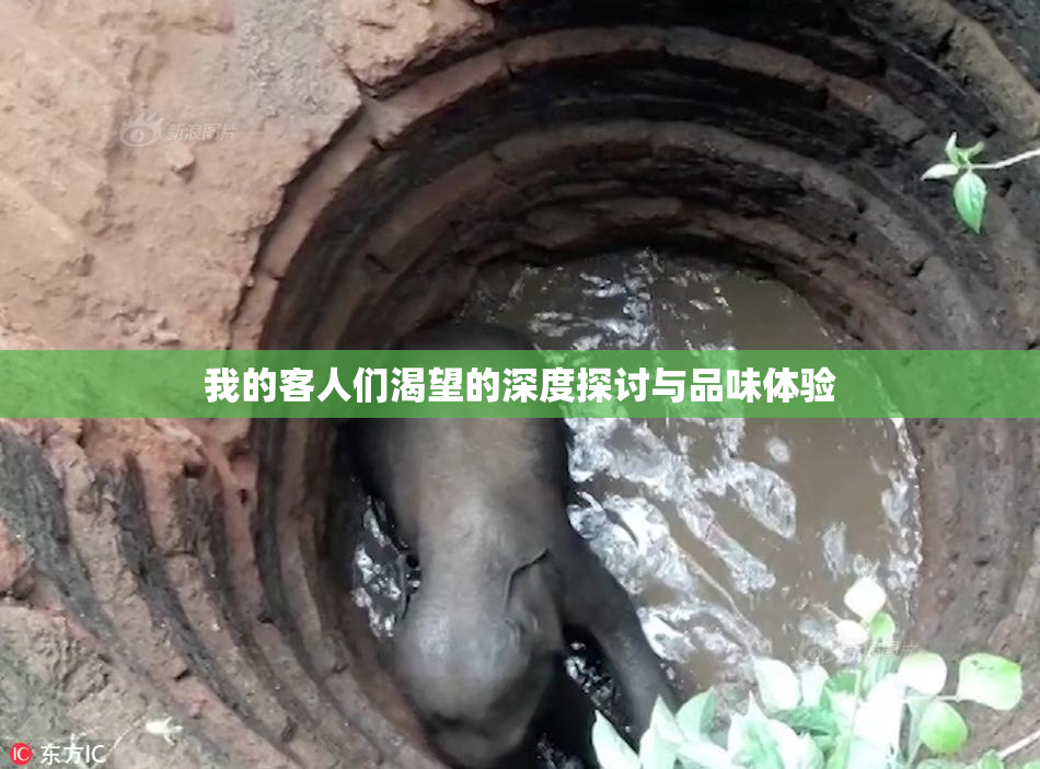 我的客人们渴望的深度探讨与品味体验