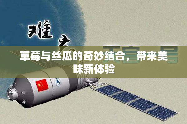 草莓与丝瓜的奇妙结合，带来美味新体验