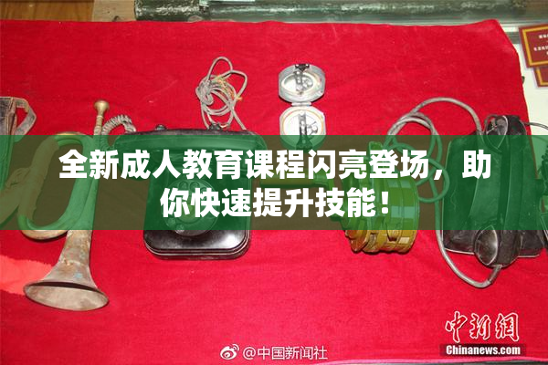 全新成人教育课程闪亮登场，助你快速提升技能！