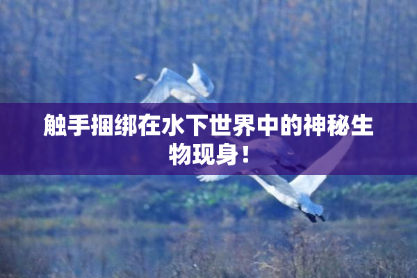 触手捆绑在水下世界中的神秘生物现身！