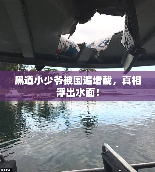 黑道小少爷被围追堵截，真相浮出水面！