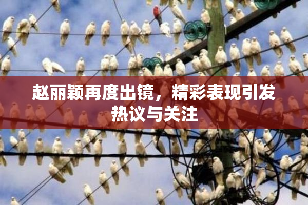 赵丽颖再度出镜，精彩表现引发热议与关注