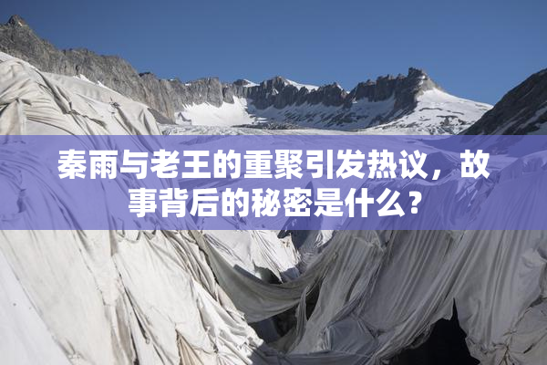 秦雨与老王的重聚引发热议，故事背后的秘密是什么？
