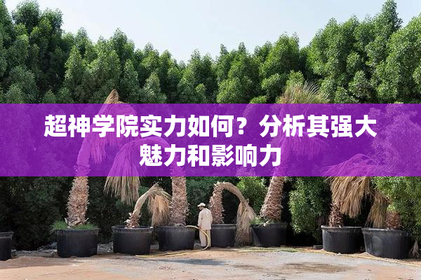 超神学院实力如何？分析其强大魅力和影响力