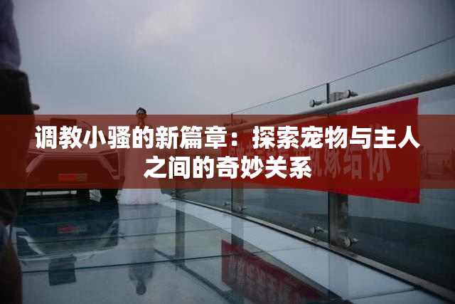 调教小骚的新篇章：探索宠物与主人之间的奇妙关系