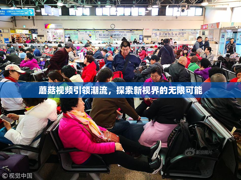 蘑菇视频引领潮流，探索新视界的无限可能