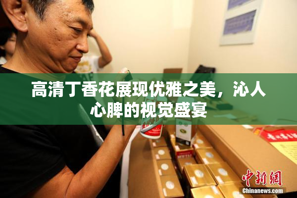 高清丁香花展现优雅之美，沁人心脾的视觉盛宴