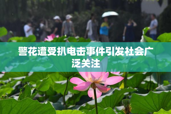 警花遭受扒电击事件引发社会广泛关注
