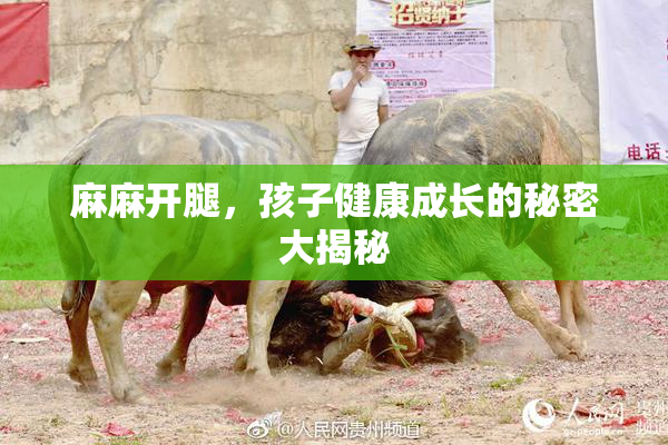 麻麻开腿，孩子健康成长的秘密大揭秘