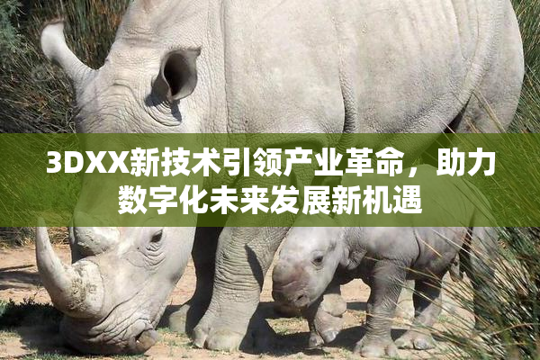 3DXX新技术引领产业革命，助力数字化未来发展新机遇