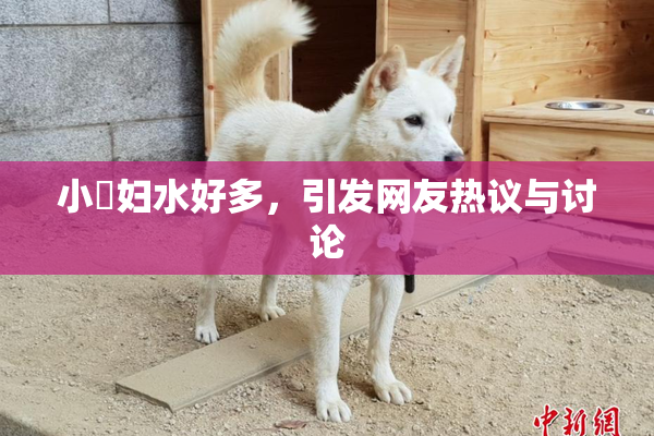 小婬妇水好多，引发网友热议与讨论