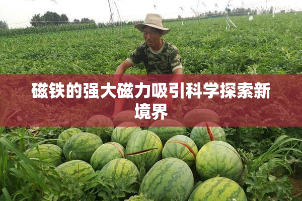 磁铁的强大磁力吸引科学探索新境界