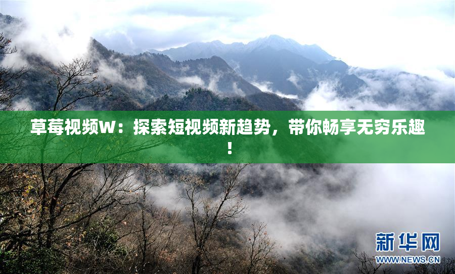草莓视频W：探索短视频新趋势，带你畅享无穷乐趣！