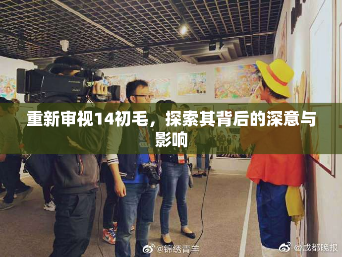 重新审视14初毛，探索其背后的深意与影响