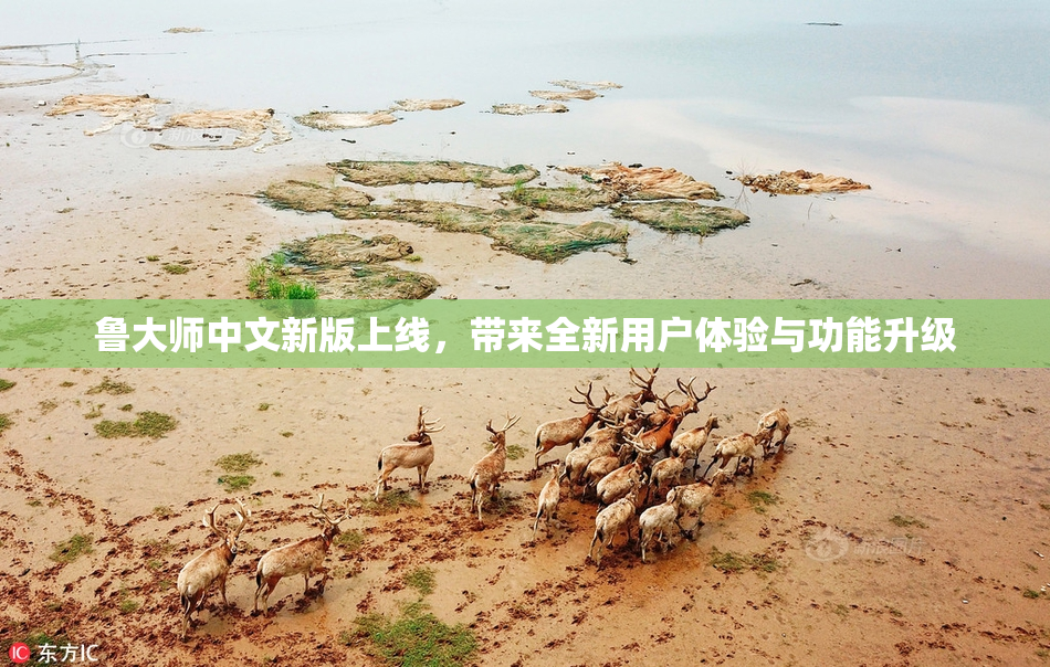 鲁大师中文新版上线，带来全新用户体验与功能升级