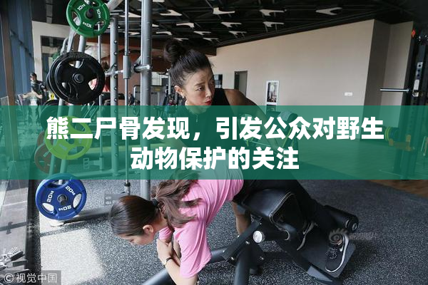 熊二尸骨发现，引发公众对野生动物保护的关注