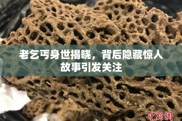 老乞丐身世揭晓，背后隐藏惊人故事引发关注