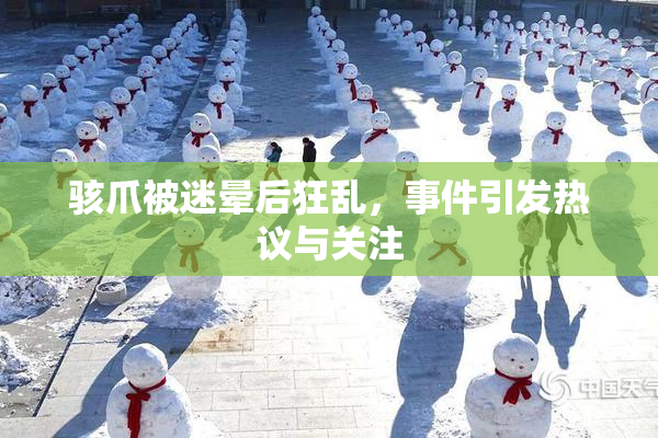 骇爪被迷晕后狂乱，事件引发热议与关注