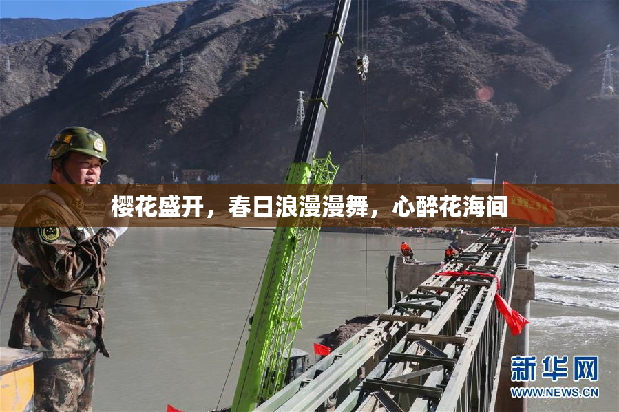 樱花盛开，春日浪漫漫舞，心醉花海间