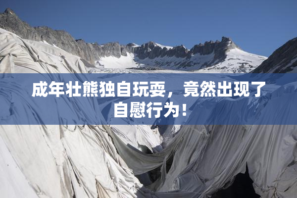 成年壮熊独自玩耍，竟然出现了自慰行为！