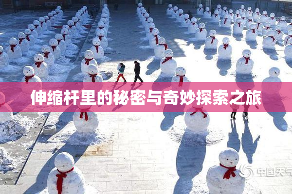 伸缩杆里的秘密与奇妙探索之旅