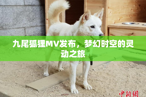 九尾狐狸MV发布，梦幻时空的灵动之旅