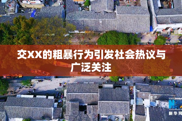 交XX的粗暴行为引发社会热议与广泛关注