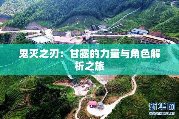 鬼灭之刃：甘露的力量与角色解析之旅