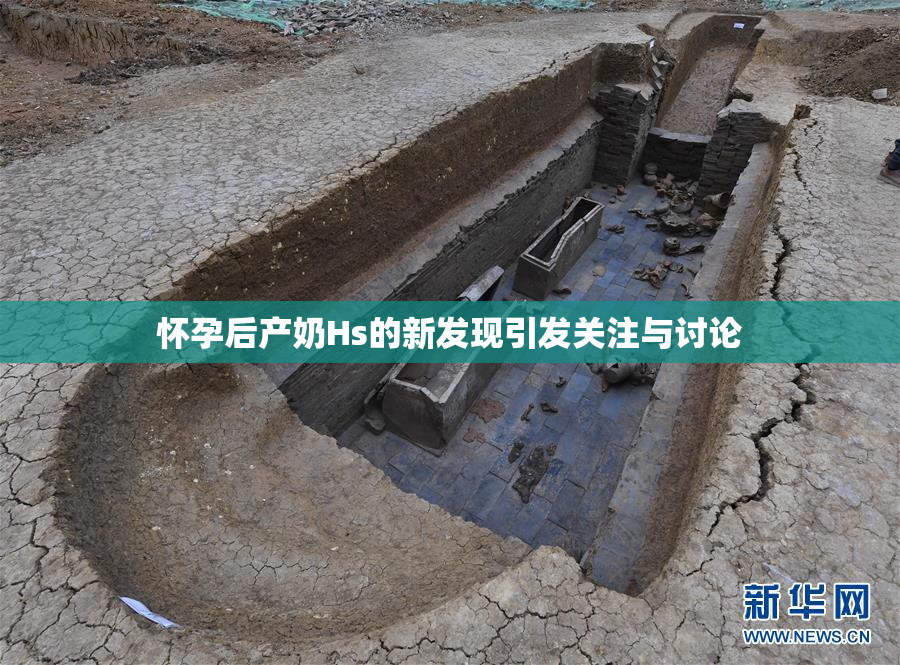 怀孕后产奶Hs的新发现引发关注与讨论