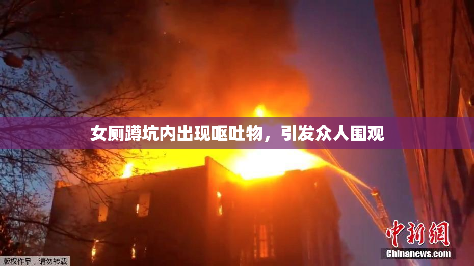 女厕蹲坑内出现呕吐物，引发众人围观