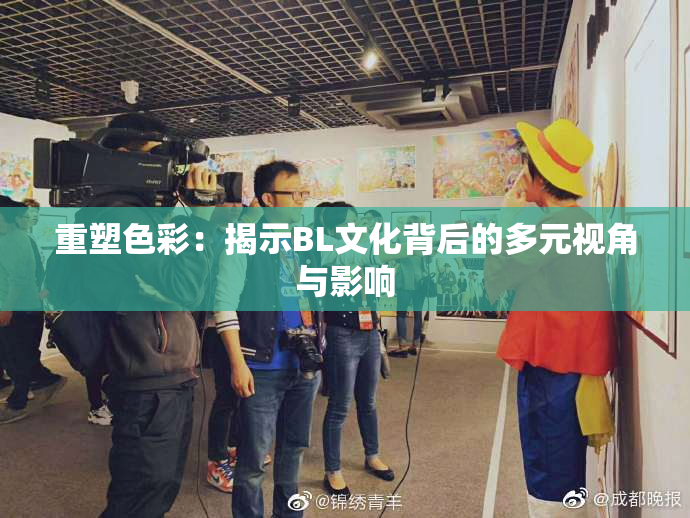 重塑色彩：揭示BL文化背后的多元视角与影响