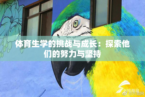 体育生学的挑战与成长：探索他们的努力与坚持