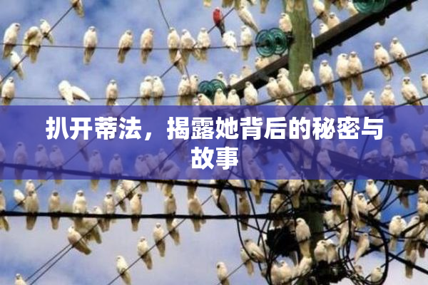扒开蒂法，揭露她背后的秘密与故事
