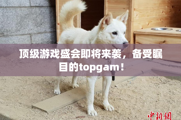 顶级游戏盛会即将来袭，备受瞩目的topgam！