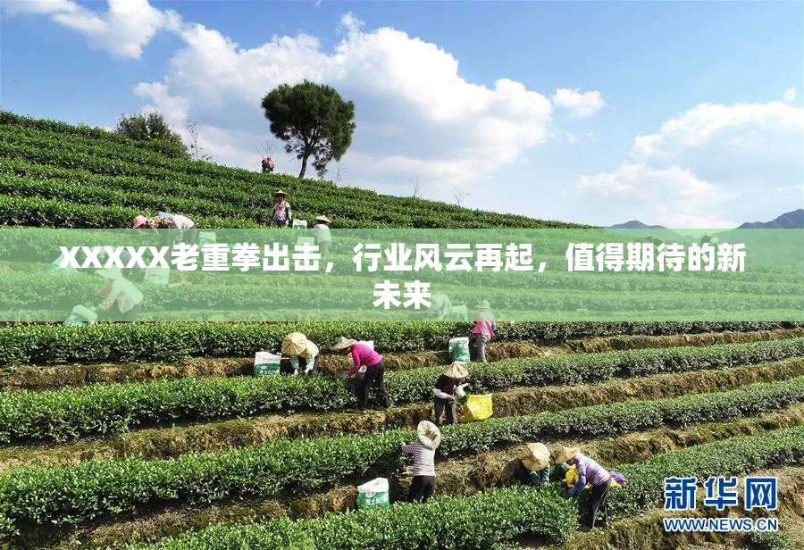 XXXXX老重拳出击，行业风云再起，值得期待的新未来