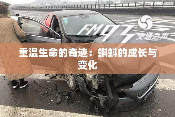 重温生命的奇迹：蝌蚪的成长与变化