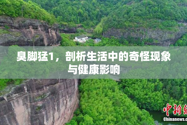 臭脚猛1，剖析生活中的奇怪现象与健康影响